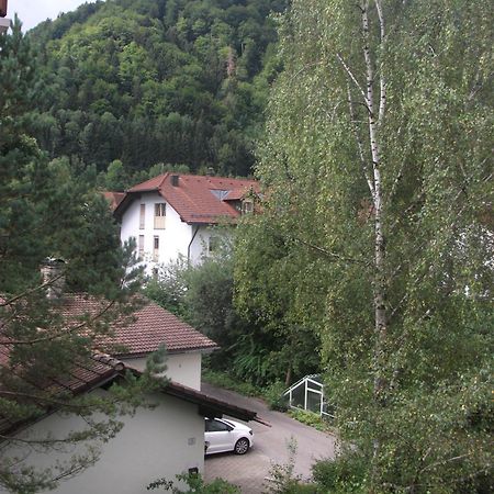 Appartemant Steineberg Immenstadt im Allgäu Eksteriør bilde